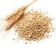 Wheat Germ Raw 400g by Vita Market