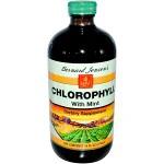 Chlorophyll mint 474ml by Bernard Jensen