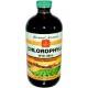 Chlorophyll mint 474ml by Bernard Jensen
