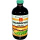 Load image into Gallery viewer, Chlorophyll mint 474ml
