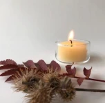 Candle Votive by Barletta Beeswax
