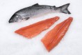 King Salmon Fillet per kg