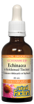 Echinacea/Goldenseal 50ml by Natural Factors