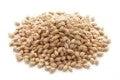Pearl Barley Org per kg by Bulk Bin Items