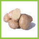 Potatoes Yukon/Yello per kg