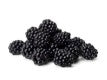Blackberries Clam 6oz