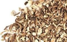 Dandelion Root Raw Cut 400gr by Westpoint