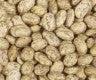 Pinto Beans Org per kg by Bulk Bin Items