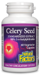 Celery Seed Extract 60&