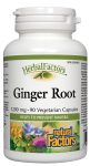 Ginger Root Extract 90&