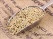 Load image into Gallery viewer, Green Lentils Org per kg by Bulk Bin Items