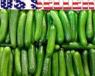 Load image into Gallery viewer, HH Cucumbers each
