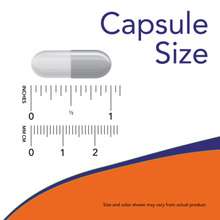 Load image into Gallery viewer, NOW L-LYSINE 500MG 100CAP
