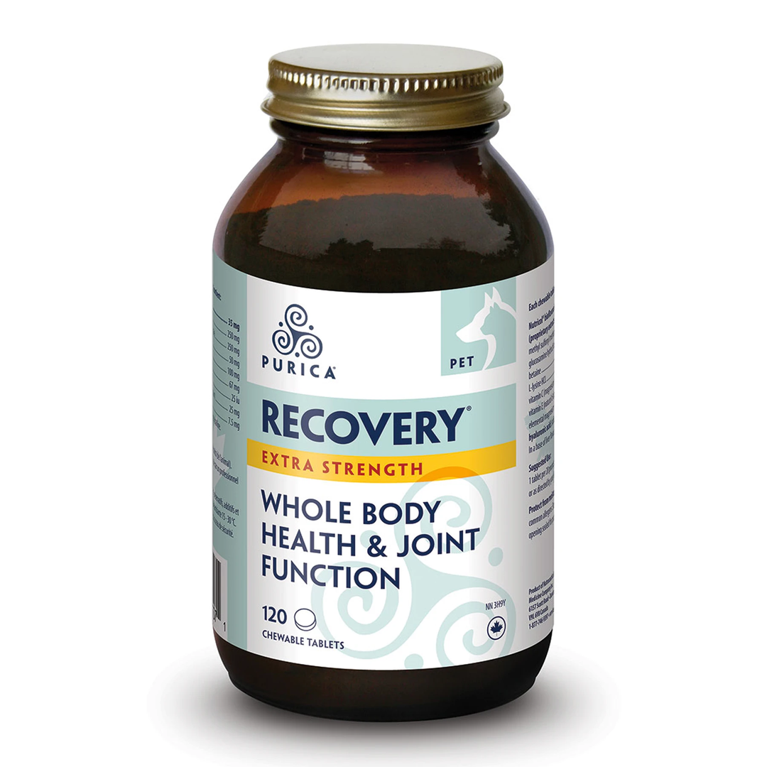 Recovery SA 120s