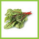 Red Chard Org each