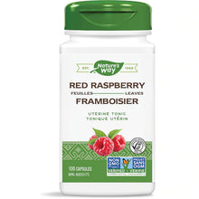 Load image into Gallery viewer, Red Raspberry Leaves / 100 capsules
