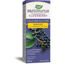 Load image into Gallery viewer, Sambucus Immune Cold and Flu Care, Syrup / 4 fl oz (120 ml)

