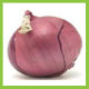 Load image into Gallery viewer, Onions Red Medium Organic Each
