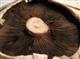 Load image into Gallery viewer, Portabella Mushrooms per kg
