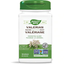 Load image into Gallery viewer, Valerian Root / 100 capsules

